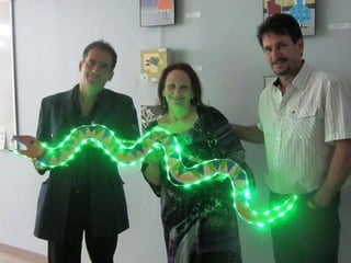 Luminaria Gala Reception ݺߣ Show