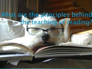 What are theprinciplesbehindtheteaching of reading?
