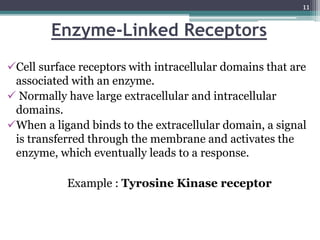 Enzyme-Linked Receptors
Cell surface receptors with intracellular domains that are
associated with an enzyme.
 Normally have large extracellular and intracellular
domains.
When a ligand binds to the extracellular domain, a signal
is transferred through the membrane and activates the
enzyme, which eventually leads to a response.
Example : Tyrosine Kinase receptor
11
 