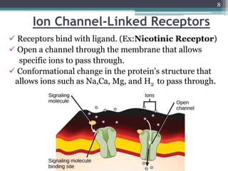 Ion Channel-Linked Receptors
 Receptors bind with ligand. (Ex:Nicotinic Receptor)
 Open a channel through the membrane that allows
specific ions to pass through.
 Conformational change in the protein's structure that
allows ions such as Na,Ca, Mg, and H2 to pass through.
8
 
