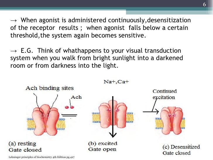 Molecular PharmacologyReceptor Desensitization