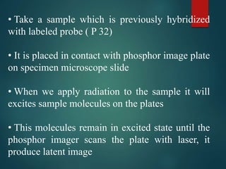 • Take a sample which is previously hybridized
with labeled probe ( P 32)
• It is placed in contact with phosphor image plate
on specimen microscope slide
• When we apply radiation to the sample it will
excites sample molecules on the plates
• This molecules remain in excited state until the
phosphor imager scans the plate with laser, it
produce latent image
 