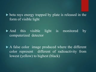 beta rays energy trapped by plate is released in the
form of visible light
 And this visible light is monitored by
computerized detector
 A false color image produced where the different
color represent different of radioactivity from
lowest (yellow) to highest (black)
 