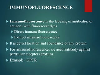 IMMUNOFLUORESCENCE
 Immunofluorescence is the labeling of antibodies or
antigens with fluorescent dyes
Direct immunofluorescence
Indirect immunofluorescence
 It is detect location and abundance of any protein.
 For immunofluorescence, we need antibody against
particular receptor (protein)
 Example : GPCR
 