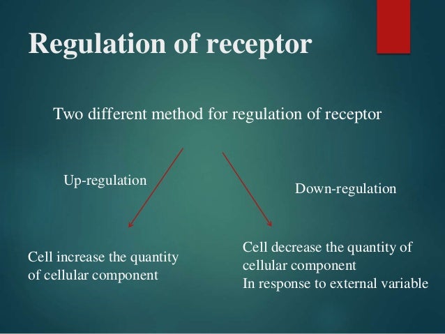 Receptor down regulation