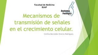 Facultad de Medicina 
BUAP 
Mecanismos de 
transmisión de señales 
en el crecimiento celular. 
Cinthia Mercedes Viveros Rodríguez. 
 