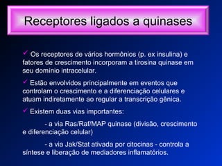 Receptores ligados a quinases
 Os receptores de vários hormônios (p. ex insulina) e
fatores de crescimento incorporam a tirosina quinase em
seu domínio intracelular.
 Estão envolvidos principalmente em eventos que
controlam o crescimento e a diferenciação celulares e
atuam indiretamente ao regular a transcrição gênica.
 Existem duas vias importantes:
- a via Ras/Raf/MAP quinase (divisão, crescimento
e diferenciação celular)
- a via Jak/Stat ativada por citocinas - controla a
síntese e liberação de mediadores inflamatórios.
 