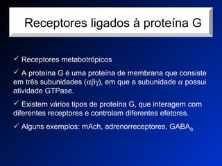 rReceptores ligados à proteína G
 Receptores metabotrópicos
 A proteína G é uma proteína de membrana que consiste
em três subunidades (αβγ), em que a subunidade α possui
atividade GTPase.
 Existem vários tipos de proteína G, que interagem com
diferentes receptores e controlam diferentes efetores.
 Alguns exemplos: mAch, adrenorreceptores, GABAB
 