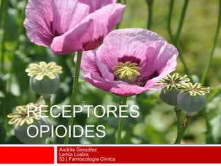 RECEPTORES
OPIOIDES
Andrés González
Larisa Loaiza
52 | Farmacología Clínica
 
