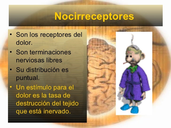 Los productos de la alimentación el miembro que aumenta