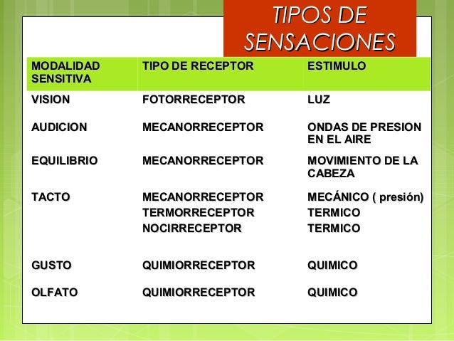 Receptores sensoriales