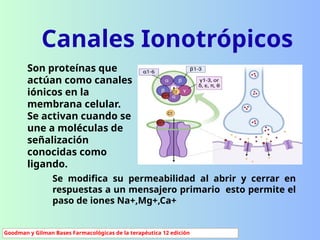 Comprehensive Overview of Membrane Receptors in Neuropharmacology and ...