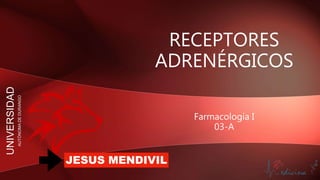 RECEPTORES
ADRENÉRGICOS
Farmacología I
03-A
UNIVERSIDAD
AUTÓNOMADEDURANGO
JESUS MENDIVIL
 