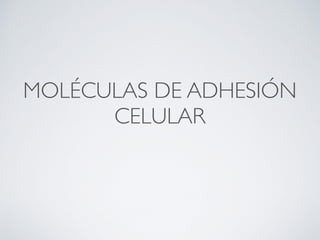MOLÉCULAS DE ADHESIÓN
CELULAR