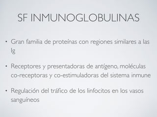 SF INMUNOGLOBULINAS
• Gran familia de proteínas con regiones similares a las
Ig
• Receptores y presentadoras de antígeno, moléculas
co-receptoras y co-estimuladoras del sistema inmune
• Regulación del tráfico de los linfocitos en los vasos
sanguíneos