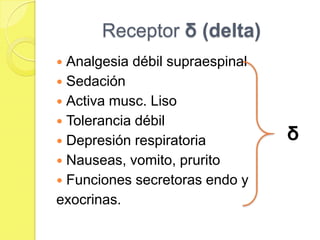 Receptor δ (delta)
 Analgesia débil supraespinal
 Sedación
 Activa musc. Liso
 Tolerancia débil
 Depresión respiratoria         δ
 Nauseas, vomito, prurito
 Funciones secretoras endo y
exocrinas.
 