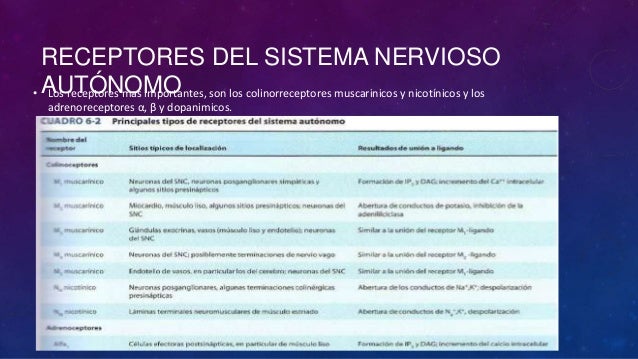 Receptores del sistema nervioso autonomo