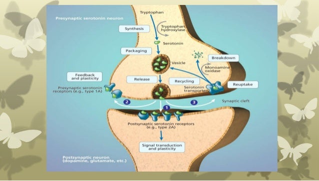Crema para la paroxetina cambia el metabolismo