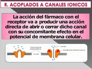 La acción del fármaco con el
receptor va a producir una acción
directa de abrir o cerrar dicho canal
con suconcomitante efecto en el
potencial de membrana celular.
 