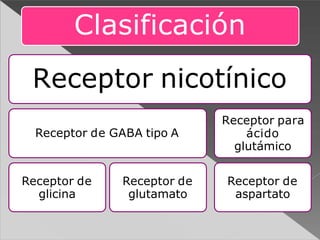 Clasificación
Receptor de GABA tipo A
Receptor de
glicina
Receptor de
glutamato
Receptor nicotínico
Receptor para
ácido
glutámico
Receptor de
aspartato
 