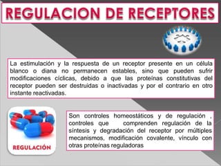 La estimulación y la respuesta de un receptor presente en un célula
blanco o diana no permanecen estables, sino que pueden sufrir
modificaciones cíclicas, debido a que las proteínas constitutivas del
receptor pueden ser destruidas o inactivadas y por el contrario en otro
instante reactivadas.
Son controles
controles que
homeostáticos y de regulación ,
comprenden regulación de la
síntesis y degradación del receptor por múltiples
mecanismos, modificación covalente, vínculo con
otras proteínas reguladoras
 