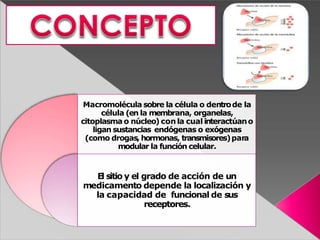 Macromolécula sobre la célula o dentrode la
célula (en la membrana, organelas,
citoplasma o núcleo) con la cual interactúano
ligan sustancias endógenas o exógenas
(como drogas, hormonas, transmisores)para
modular la función celular.
El sitio y el grado de acción de un
medicamento depende la localización y
la capacidad de funcional de sus
receptores.
 