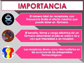 El número total de receptores, con
frecuencia limita el efecto máximo que
puede tener un fármaco.
El tamaño, forma y carga eléctrica de un
fármaco determinan si este se unirá o no y
con qué intensidad a un receptor.
Losreceptores sirven como intermediarios en
las accionesde los antagonistas
farmacológicos.
 