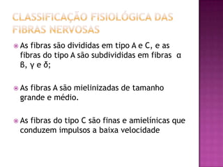Classificação fisiológica das fibras nervosasAs fibras são divididas em tipo A e C, e as fibras do tipo A são subdivididas em fibras  αβ, γ e δ;As fibras A são mielinizadas de tamanho grande e médio. As fibras do tipo C são finas e amielínicas que conduzem impulsos a baixa velocidade 