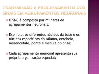 Transmissão e processamento dos sinais em agrupamentos neuronaisO SNC é composto por milhares de agrupamentos neuronais;Exemplo, os diferentes núcleos da base e os núcleos específicos do tálamo, cerebelo, mesencéfalo, ponte e medula oblonga;Cada agrupamento neuronal apresenta sua própria organização especial;