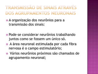 Transmissão de sinais através dos agrupamentos neuronaisA organização dos neurônios para a transmissão dos sinais:Pode-se considerar neurônios trabalhando juntos como se fossem um único só.  A área neuronal estimulada por cada fibra nervosa é o campo estimulatório; Vários neurônios próximos são chamados de agrupamento neuronal;
