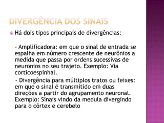 Divergência dos sinaisHá dois tipos principais de divergências:- Amplificadora: em que o sinal de entrada se espalha em número crescente de neurônios a medida que passa por ordens sucessivas de neuronios no seu trajeto. Exemplo: Via corticoespinhal.   - Divergência para múltiplos tratos ou feixes: em que o sinal é transmitido em duas direções a partir do agrupamento neuronal. Exemplo: Sinais vindo da medula divergindo para o córtex e cerebelo