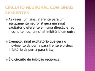 Circuito neuronal com sinais eferentesAs vezes, um sinal aferente para um agrupamento neuronal gera um sinal excitatório eferente em uma direção e, ao mesmo tempo, um sinal inibitório em outra;Exemplo: sinal excitatório que gera o movimento da perna para frente e o sinal inibitório da perna para trás;É o circuito de inibição recíproca;