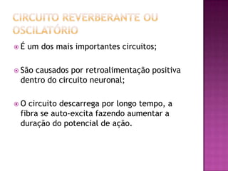 Circuito reverberante ou oscilatórioÉ um dos mais importantes circuitos;São causados por retroalimentação positiva dentro do circuito neuronal;O circuito descarrega por longo tempo, a fibra se auto-excita fazendo aumentar a duração do potencial de ação.