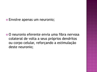 Envolve apenas um neuronio;O neuronio eferente envia uma fibra nervosa colateral de volta a seus próprios dendritos ou corpo celular, reforçando a estimulação deste neuronio;