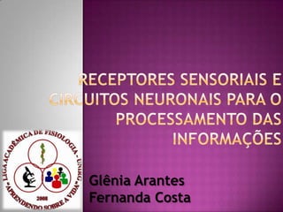 REcEPTORES SENSORIAIS E CIRCUITOS NEURONAIS PARA O PROCESSAMENTO DAS INFORMAÇÕES Glênia Arantes  Fernanda Costa 