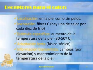 Receptores para el calor:
Localización: en la piel con o sin pelos.
Inervación: fibras C (hay una de calor por
cada diez de frío)
Estímulo específico: aumento de la
temperatura de la piel (30-50º C).
Adaptación lenta (fásico-tónico).
Información transmitida: cambios (por
elevación) y mantenimiento de la
temperatura de la piel.
Desarrollo Psicomotor 17
 