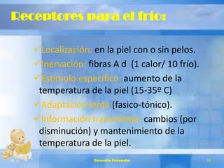 Receptores para el frío:
Localización: en la piel con o sin pelos.
Inervación: fibras A d (1 calor/ 10 frío).
Estímulo específico: aumento de la
temperatura de la piel (15-35º C)
Adaptación lenta (fasico-tónico).
Información transmitida: cambios (por
disminución) y mantenimiento de la
temperatura de la piel.
Desarrollo Psicomotor 18
 