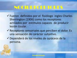 NOCIRRECEPTORES
Fueron definidos por el fisiólogo ingles Charles
Sherrington (1906) como los receptores
activados por estímulos capaces de producir
lesión tisular.
Receptores sensoriales que perciben el dolor. Es
una sensación de carácter subjetivo.
Dependerá de los niveles de opiáceos de la
persona.
Desarrollo Psicomotor 19
 