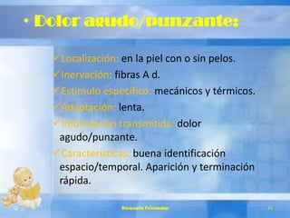 • Dolor agudo/punzante:
Localización: en la piel con o sin pelos.
Inervación: fibras A d.
Estímulo específico: mecánicos y térmicos.
Adaptación: lenta.
Información transmitida: dolor
agudo/punzante.
Características: buena identificación
espacio/temporal. Aparición y terminación
rápida.
Desarrollo Psicomotor 21
 