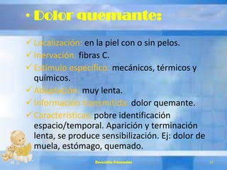 • Dolor quemante:
Localización: en la piel con o sin pelos.
Inervación: fibras C.
Estímulo específico: mecánicos, térmicos y
químicos.
Adaptación: muy lenta.
Información transmitida: dolor quemante.
Características: pobre identificación
espacio/temporal. Aparición y terminación
lenta, se produce sensibilización. Ej: dolor de
muela, estómago, quemado.
Desarrollo Psicomotor 22
 