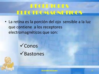 RECEPTORES
ELECTROMAGNETICOS
• La retina es la porción del ojo sensible a la luz
que contiene a los receptores
electromagnéticos que son:
Conos
Bastones
Desarrollo Psicomotor 23
 