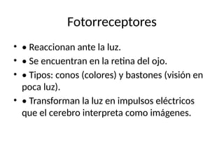 Fotorreceptores
• • Reaccionan ante la luz.
• • Se encuentran en la retina del ojo.
• • Tipos: conos (colores) y bastones (visión en
poca luz).
• • Transforman la luz en impulsos eléctricos
que el cerebro interpreta como imágenes.
 