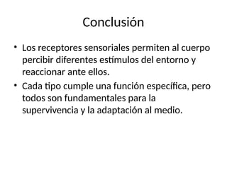 Conclusión
• Los receptores sensoriales permiten al cuerpo
percibir diferentes estímulos del entorno y
reaccionar ante ellos.
• Cada tipo cumple una función específica, pero
todos son fundamentales para la
supervivencia y la adaptación al medio.
 