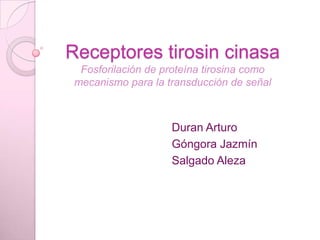 Receptores tirosin cinasa
  Fosforilación de proteína tirosina como
 mecanismo para la transducción de señal



                    Duran Arturo
                    Góngora Jazmín
                    Salgado Aleza
 
