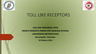 TOLL LIKE RECEPTORS
LUIS JOSE FERNANDEZ YEPEZ
MEDICO RESIDENTE PRIMER AÑO MEDICINA INTERNA
UNIVERSIDAD METROPLITANA
Barranquilla –Colombia.
10 Febrero 2014
 