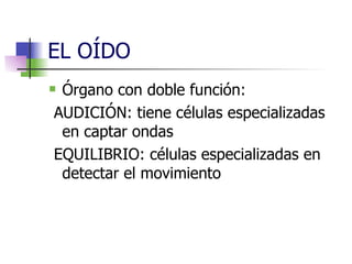 EL OÍDO Órgano con doble función: AUDICIÓN: tiene células especializadas en captar ondas  EQUILIBRIO: células especializadas en detectar el movimiento 