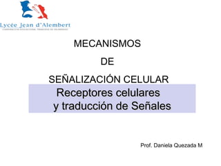Receptores celularesReceptores celulares
y traducción de Señalesy traducción de Señales
MECANISMOS
DE
SEÑALIZACIÓN CELULAR
Prof. Daniela Quezada M
 