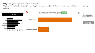 AP2 protein: gene expression study in brain cells
A heterotetrameric adaptor complex (α-, β2, μ2 and σ2 subunits) that links membrane cargo to clathrin and accessory
proteins
 