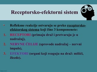 Receptorsko-efektorni sistem
Refleksne reakcije ostvaruju se preko receptorsko-
efektorskog sistema koji čine 3 komponenete:
1. RECEPTORI (primaju draž i pretvaraju je u
nadražaj),
2. NERVNE ĆELIJE (sprovode nadražaj – nervni
impuls),
3. EFEKTORI (organi koji reaguju na draž: mišići,
žlezde).
 