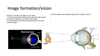RECEPTOR ORGANS IN MAN.pptx